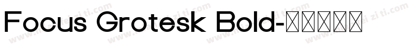 Focus Grotesk Bold字体转换